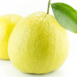 Bergamota