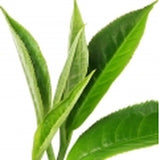 Té
